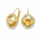 Ehtekomplekt naistele „Glare III (Golden Shadow)“ Swarovski® kristallidega