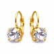 Kõrvarõngad „Glory“ Swarovski® kristallidega