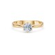14K Yellow Gold Diamond Ring “New Classic XVIII”