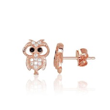 Laste hõbekõrvarõngad tsirkoonidega „Owlet II“